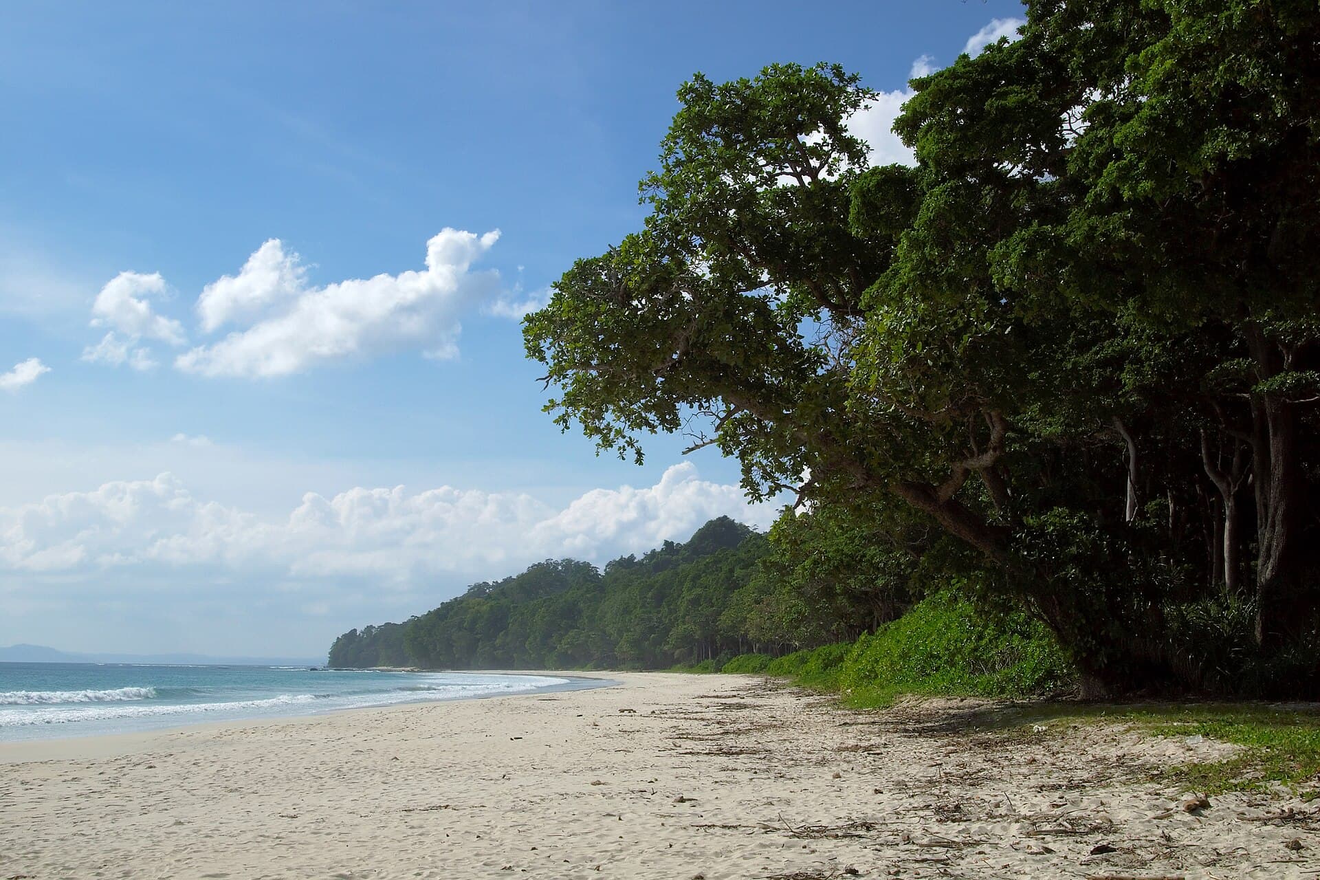 Andaman — Radhanagar & coral reefs