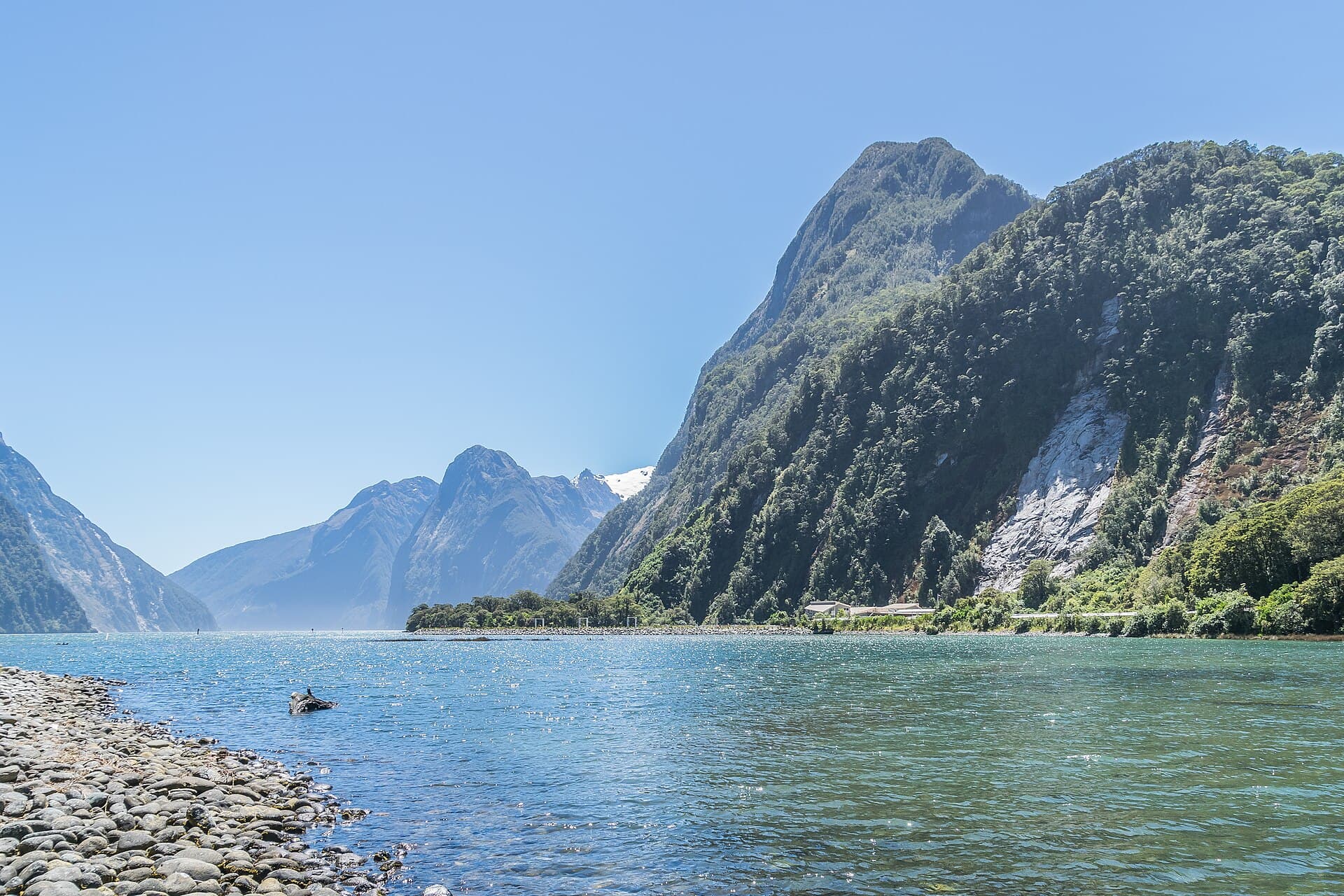 New Zealand — Fiordland & adventure capital