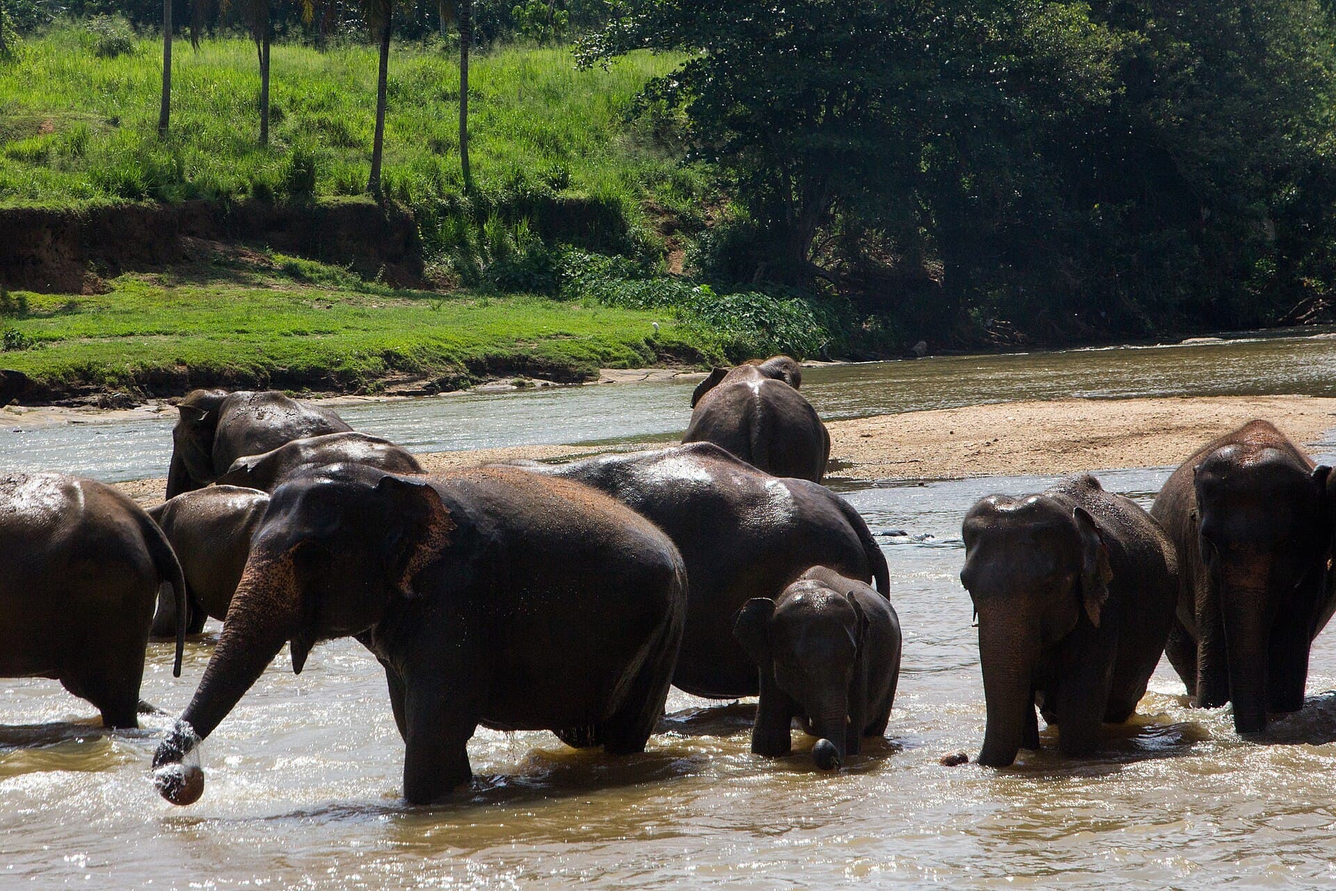 Sri Lanka Short Escape